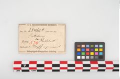 Etikett zu Keramikgefäßboden (NHMW-PRAE-025462a)